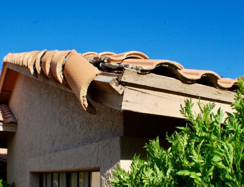 7 Warning Signs You Need a Roof Replacement Before Total Failure