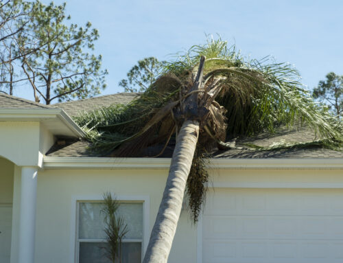 5 Proven Ways Storm Damage Destroys Your Roof (and How to Fix It)